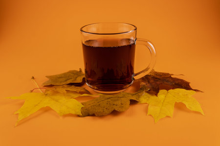 Black tea with autumn leaves close up on an orange backgroundの写真素材
