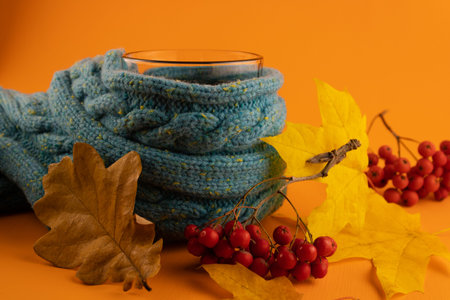 Tea and a warm blue sweater with autumn leaves and Rowan berries on an orange background