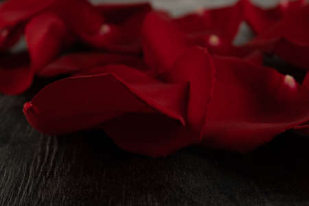 Scarlet rose petals close up on a dark wooden backgroundの写真素材