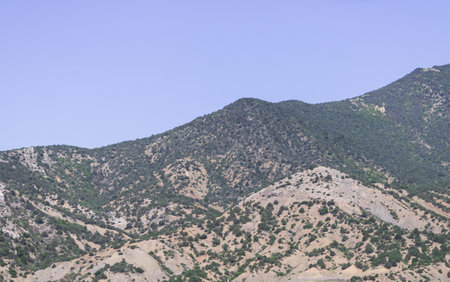 majestic mountains covered with greenery against the blue skyの写真素材