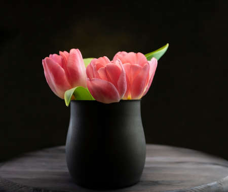 Two cakes with prunes on a background of tulips.の写真素材