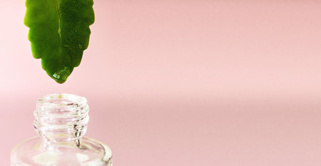 Natural vegetable oil concept. A drop of oil on the tip of a green leaf drips into a glass bottle on...