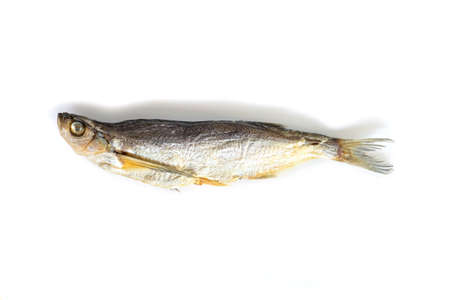 isolated close up top view single dried salted chehon fish on a white backgroundの写真素材
