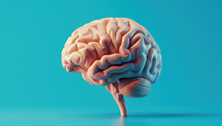 Human brain model on a solid blue background. The concept of medical visualization and neuroscience.の素材