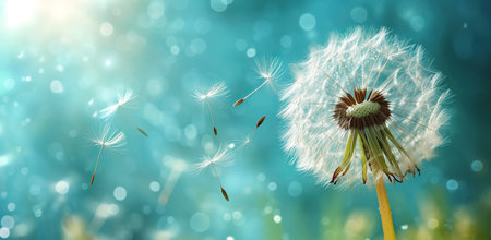 Dandelion against blue sky with floating seeds.の素材