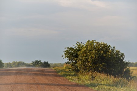 rural landscapeの写真素材