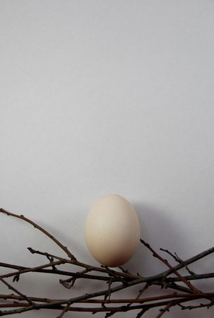 chicken eggの写真素材