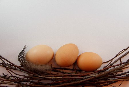 eggs in the nestの写真素材