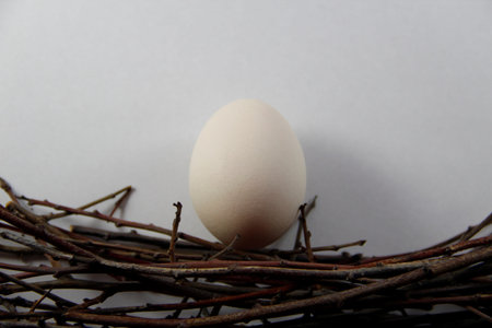 eggs in the nestの写真素材