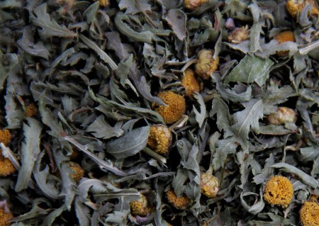 tansy driedの写真素材