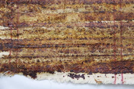 propolis on canvasの写真素材