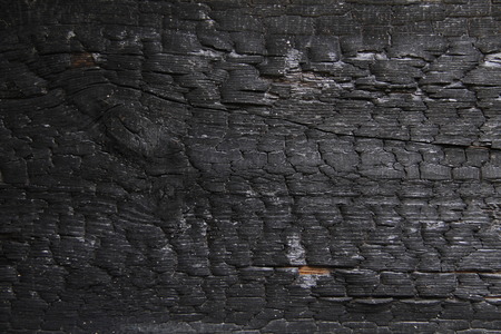 burntの写真素材