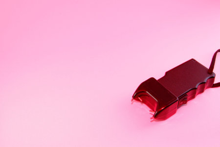 stun gun