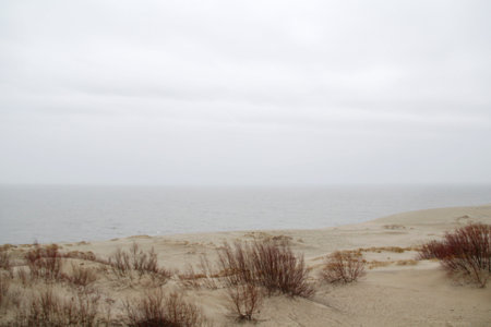 sand duneの写真素材