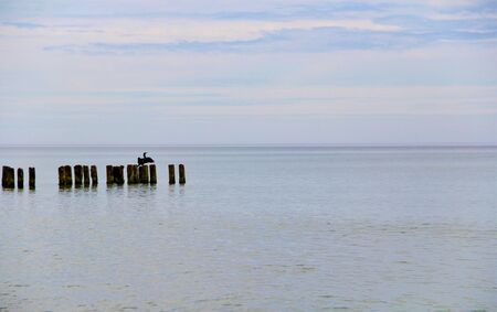 Baltic seaの写真素材