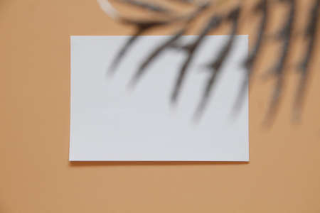 white blank paper on the wallの写真素材