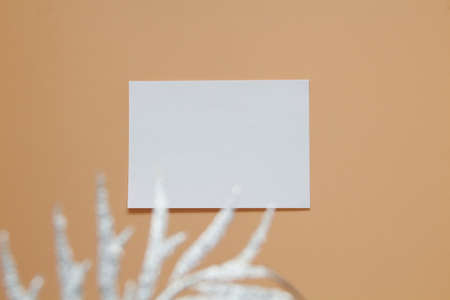 white blank paper on the wallの写真素材