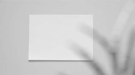 white blank paper on the wallの写真素材