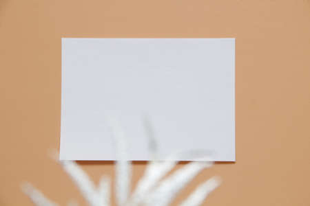 white blank paper on the wallの写真素材