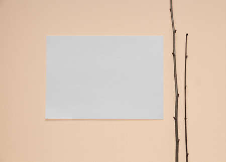 paper and a branch on the wall backgroundの写真素材