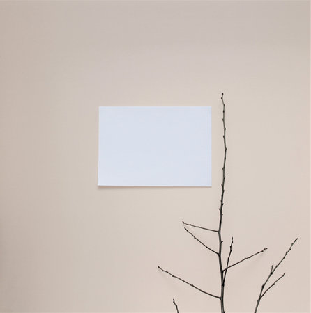 paper and a branch on the wall backgroundの写真素材