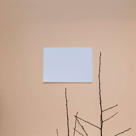 paper and a branch on the wall backgroundの写真素材
