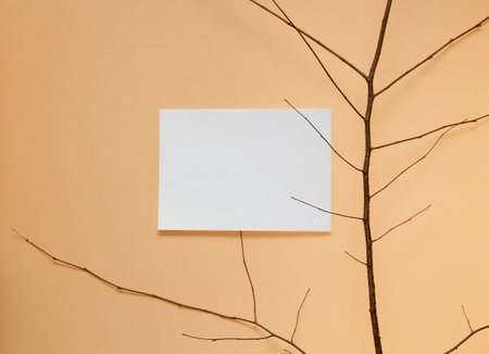 paper and a branch on the wall backgroundの写真素材