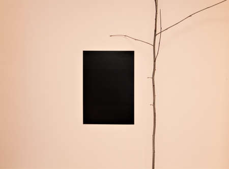 paper and a branch on the wall backgroundの写真素材
