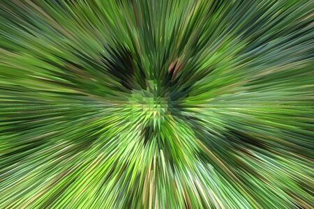 Green abstract  with sharp thornsの写真素材