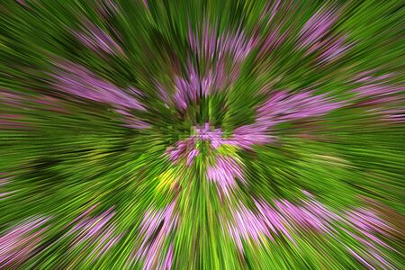 Creative colored explosionの写真素材