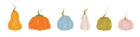 Different colors pumpkins set. Hand drawn pumpkins, vector illustration. Halloween and autumn harvest symbolのイラスト素材