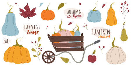 Fall Harvest Time set with pumpkins, leaves and wheelbarrow. Isolated vector symbols of autumn, harvest festival, halloween. Design elements for poster, banner, card, greeting, invitation, saleのイラスト素材