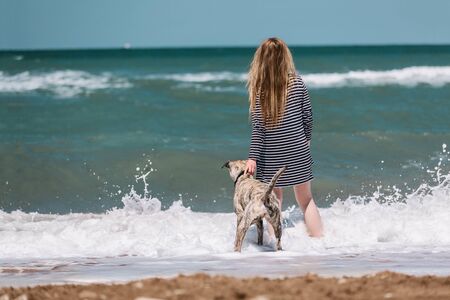 Woman and dog on a background of the sea. They stand with their backs and look into the distance.の写真素材
