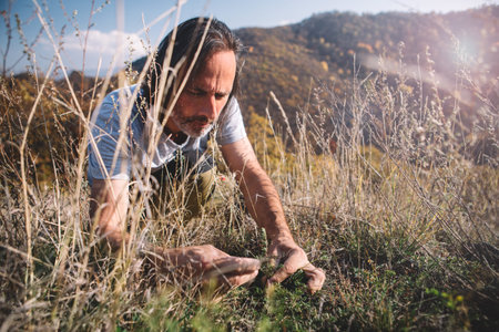 A man on the side of a mountain collects medicinal aromatic herbs.