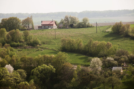 Landscape with a house on a hilltop. Around the fields and blooming gardens.