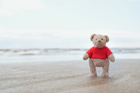 Teddy bear toy on the beach backgraundの写真素材