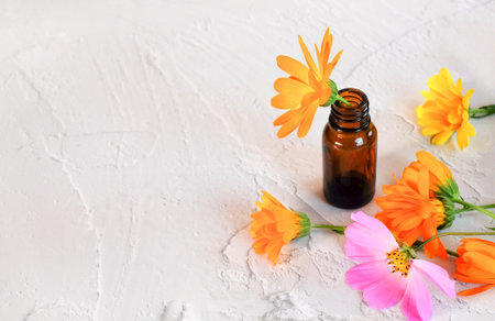 Bottle with natural elixir and calendula flower on white background as natural cosmetic concept