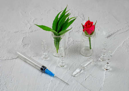 Composition with ampules, medical syringe, flower and leavesの写真素材