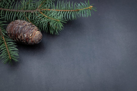 New year and christmas background. Fir tree branch and pine cone on gray stone background. Top view...