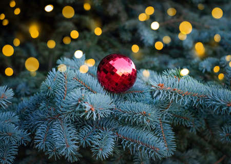Christmas background. Natural christmas tree with red ball and golden bokeh. Selective focusの写真素材