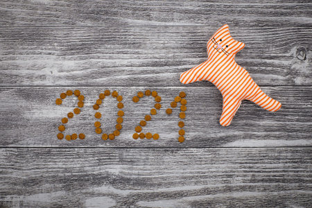 2021 written of dry food for cat and toy on the wooden floor. New year pet background with copy...