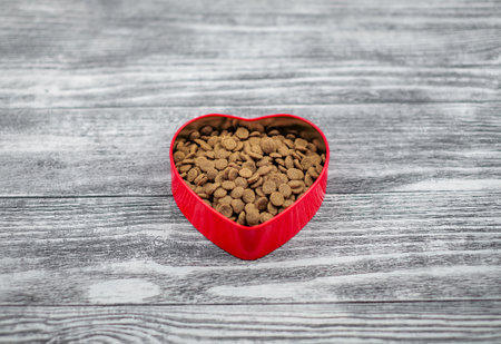 Red heart shaped bowl with food for pets on wooden background. With love for pets concept and...