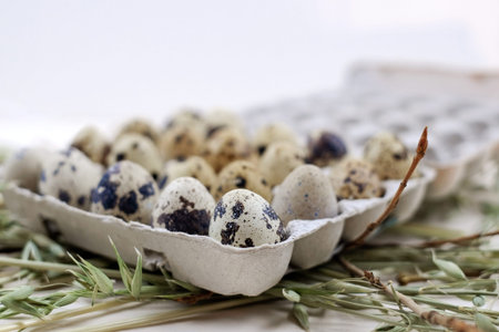 Fresh quail eggs in a cardboard container with natural decoration, close-up. Abstract food natural...