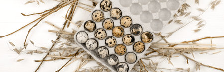Fresh quail eggs in a cardboard container with natural decoration, top view. Abstract food natural...