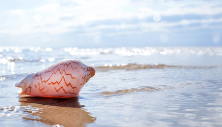 Big seashell on the water. Seaside background with copy space. Summertime concept