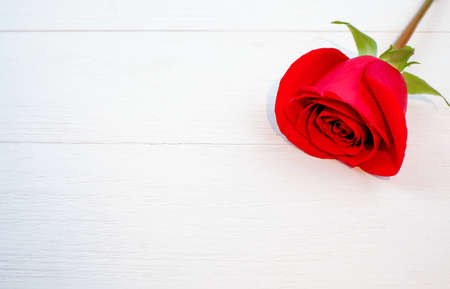 One red rose flower on wooden background, top view, copy spaceの写真素材