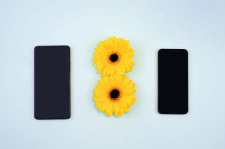 Two smartphones and yellow flowers as number eight. March 8 International Womens Day. Top view. Mock-upの写真素材