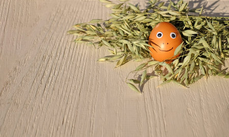 Egg with painted face in the nest of dry grass wit sunlight on wooden background. Copy space