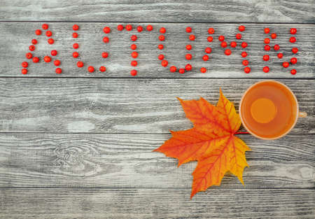 The word autumn from red berries, cup of tea and maple leaf on wooden background with copy space, top view, vintage styleの写真素材