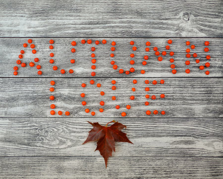 The words autumn love are written with rowan berries and maple leaf on wooden background, top view, retro styleの写真素材